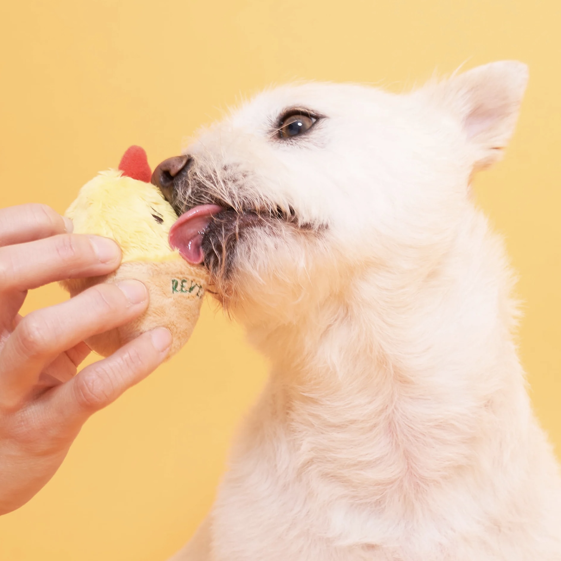 Furryfolks Interaktivní hračka pro psy Plato vajíček