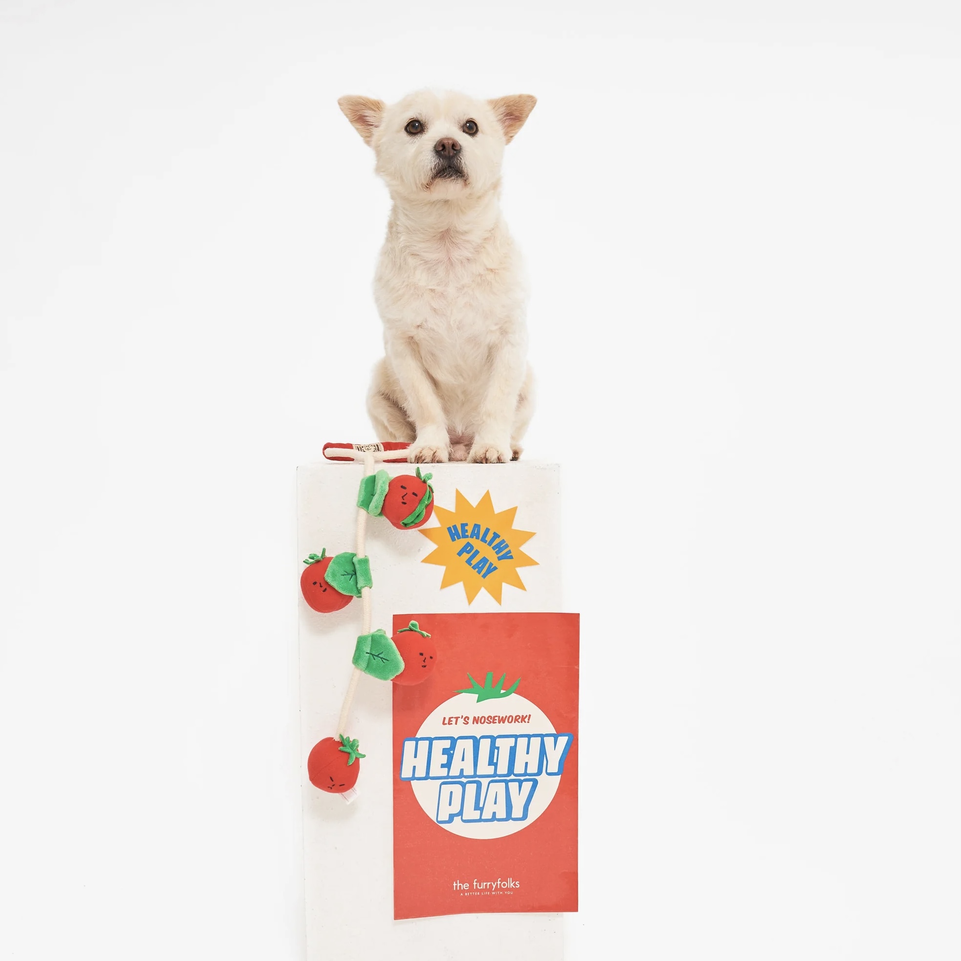 Furryfolks Interaktivní a provazová hračka pro psy Cherry rajčátka