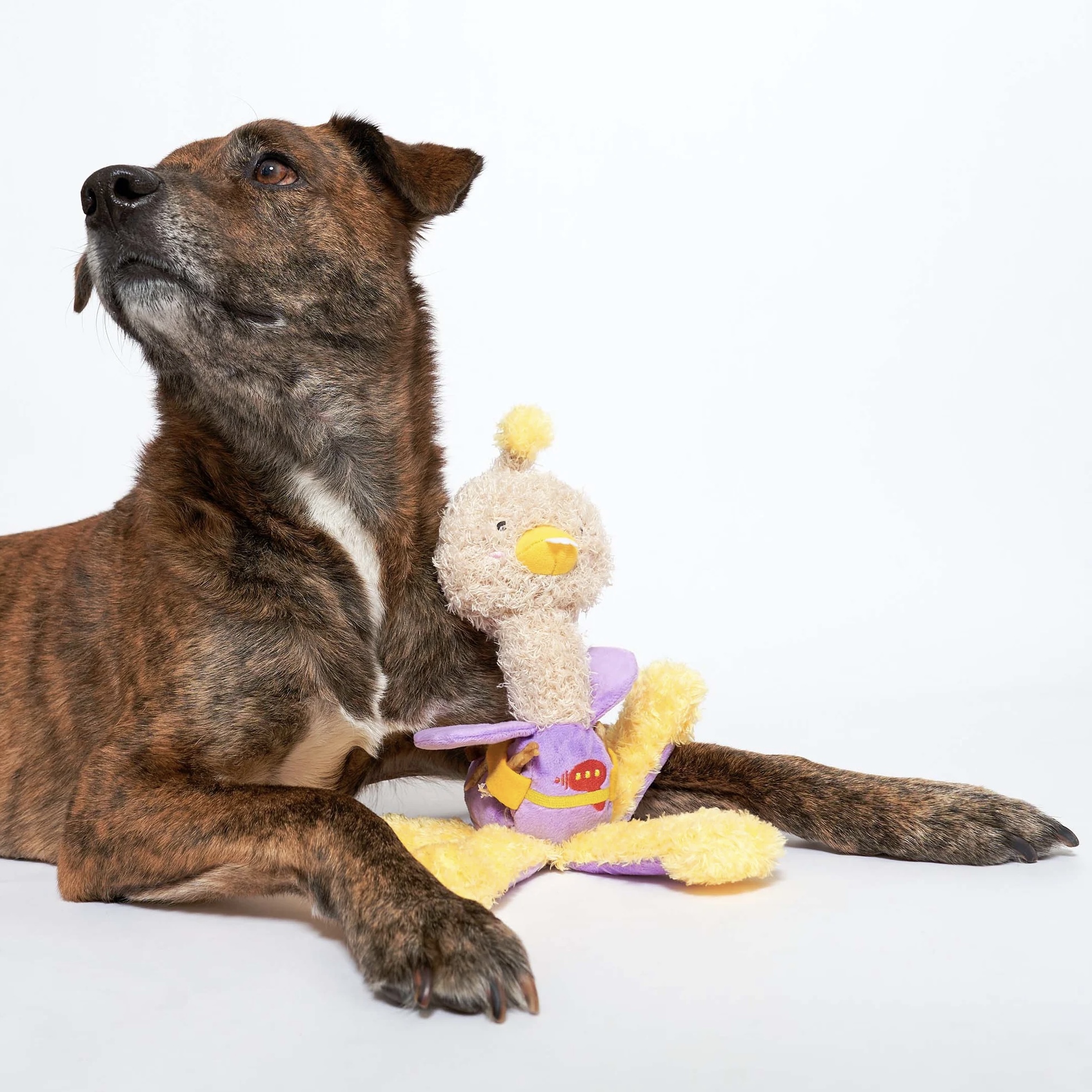 Furryfolks Interaktivní hračka pro psy pštros