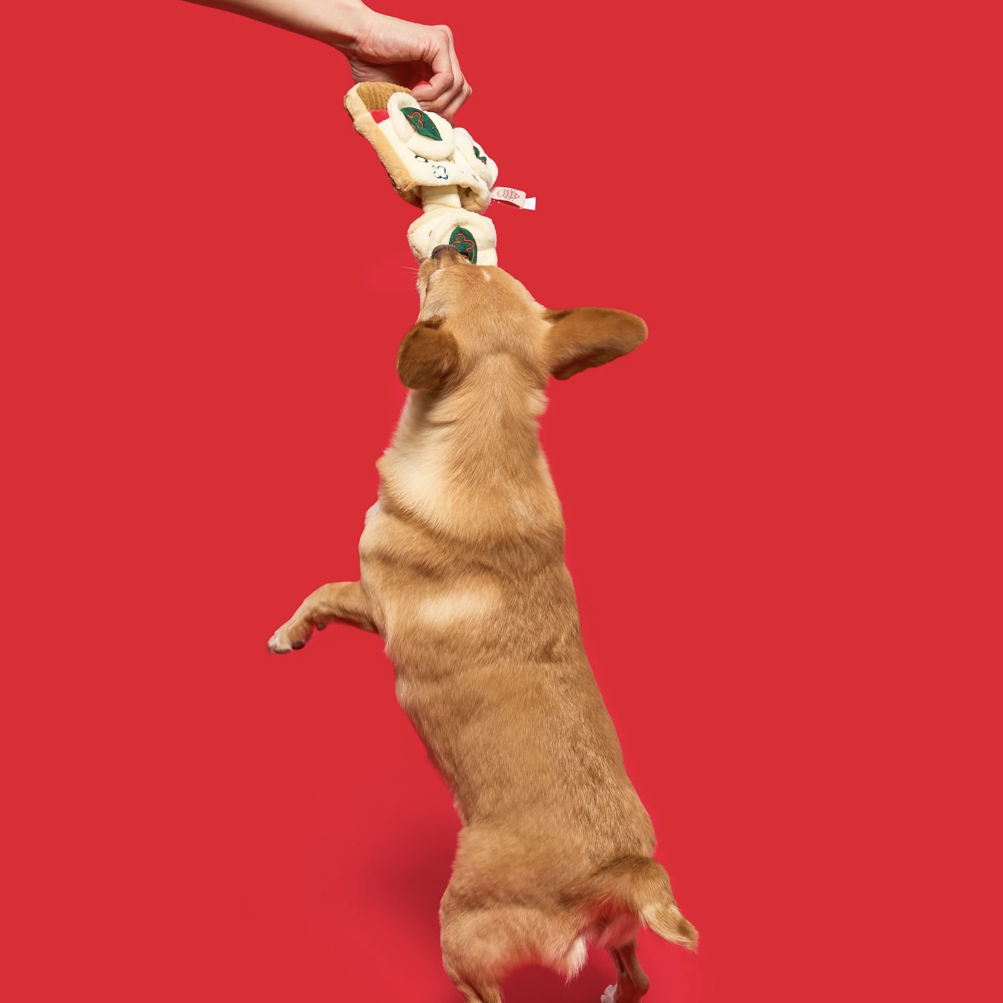 Furryfolks Interaktivní hračka pro psy Pizza