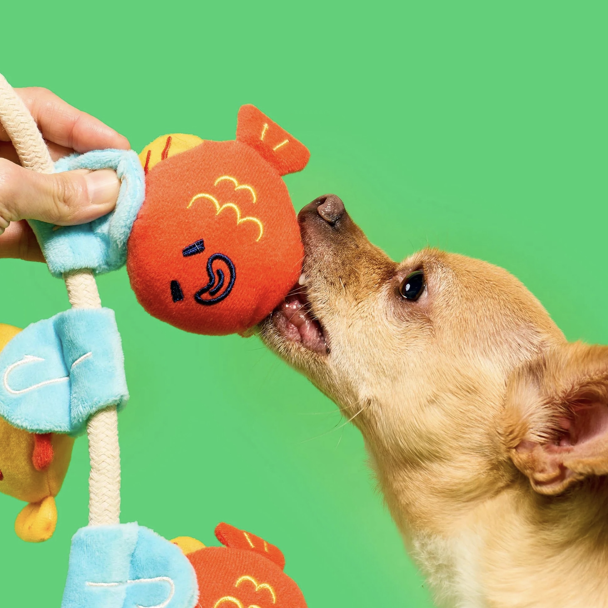 Furryfolks Interaktivní a přetahovací hračka pro psy Rybaření