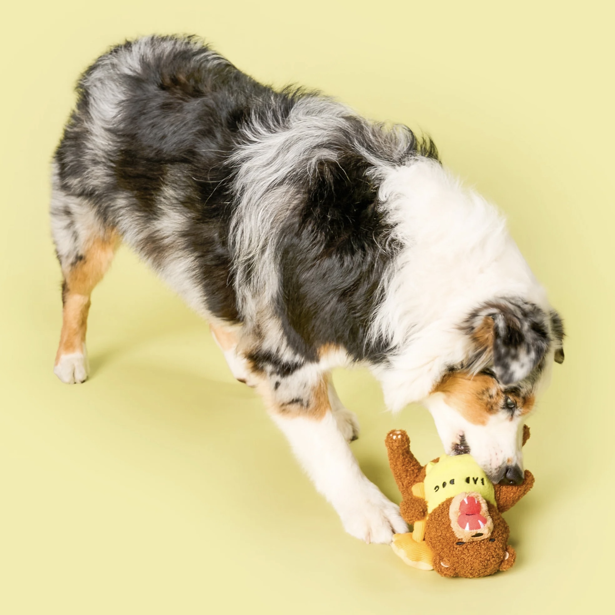 Furryfolks Interaktivní hračka pro psy medvěd Tofino