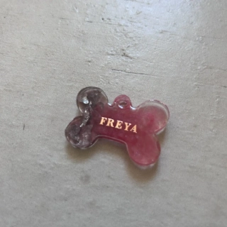 Psí známka se jménem psa Freya