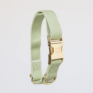 Furlou Obojek pro psa sage green